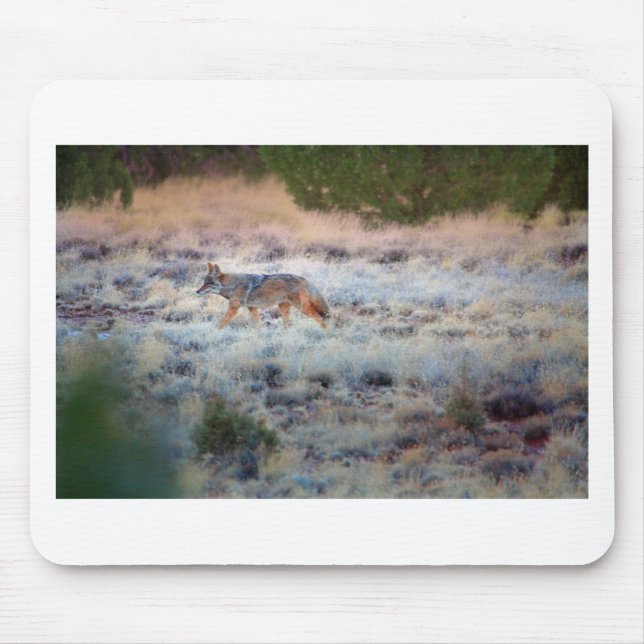 Coyote at dusk mouse pad (Front)