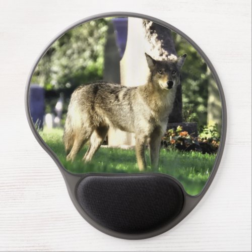Coyote at the cemetery mouse pad