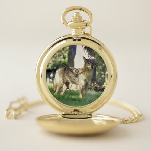 Coyote at the cemetery pocket watch