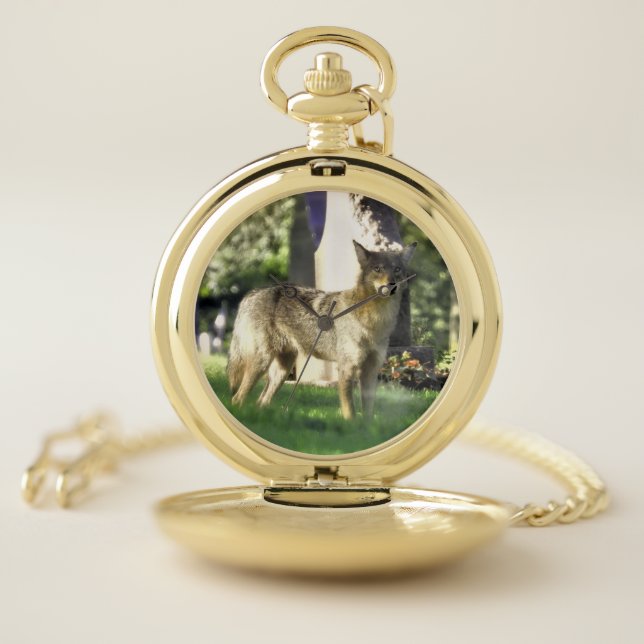 Coyote at the cemetery pocket watch (Inside)