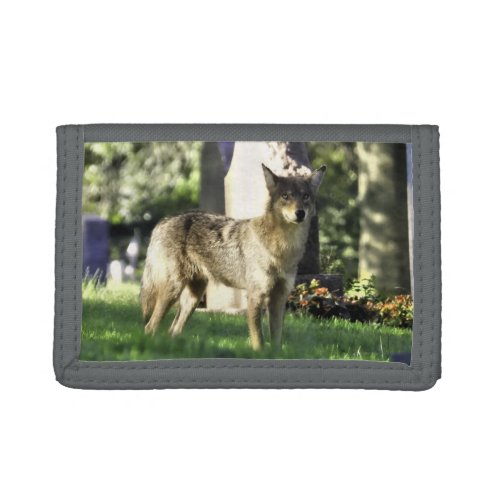 Coyote at the cemetery trifold wallet