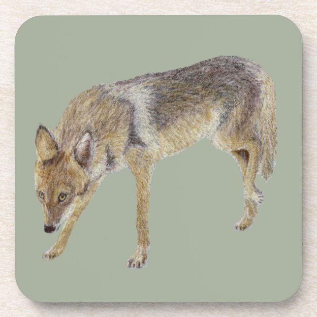 Coyote Beverage Coaster (Front)