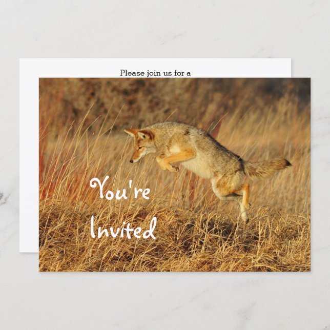 Coyote Brown Autumn Grass Photo Birthday Invitation (Front/Back)