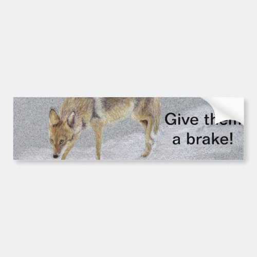 Coyote Bumper Sticker