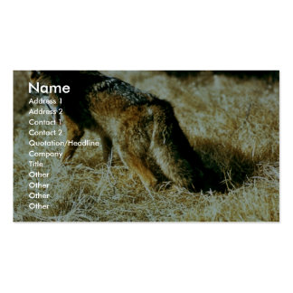 Coyote Business Cards & Templates | Zazzle