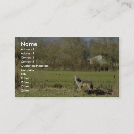 Customizable Coyote Business Card