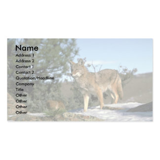 Coyote Business Cards & Templates | Zazzle