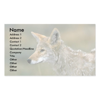 Coyote Business Cards & Templates | Zazzle