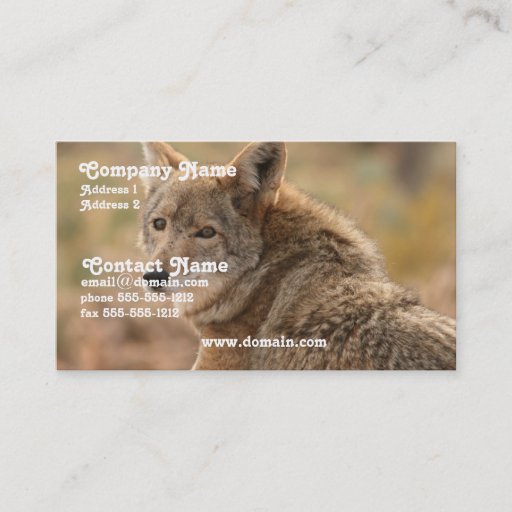 Customizable Coyote Business Card