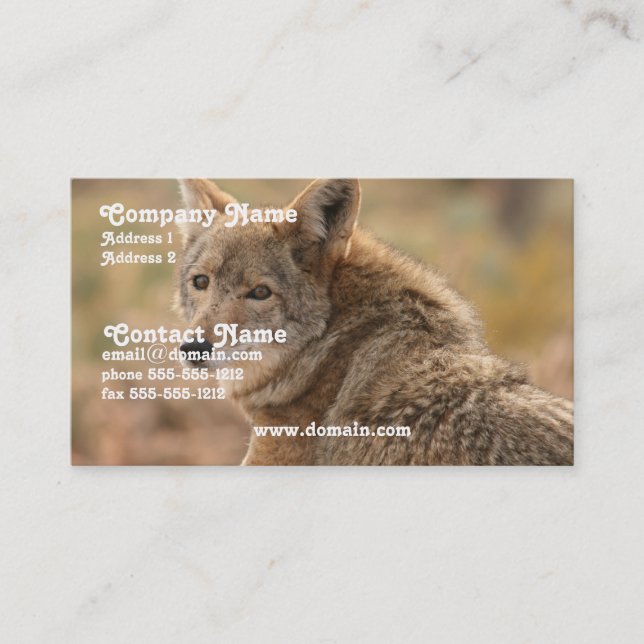 Coyote Business Card (Front)