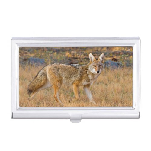 Coyote Canis Latrans Hunting Business Card Holder