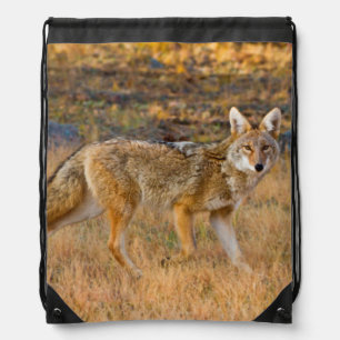 Coyote (Canis Latrans) Hunting Drawstring Bag