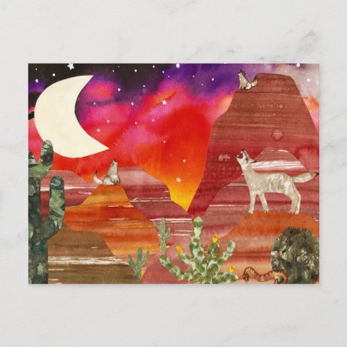 Coyote Canyon Night Songs Postcard