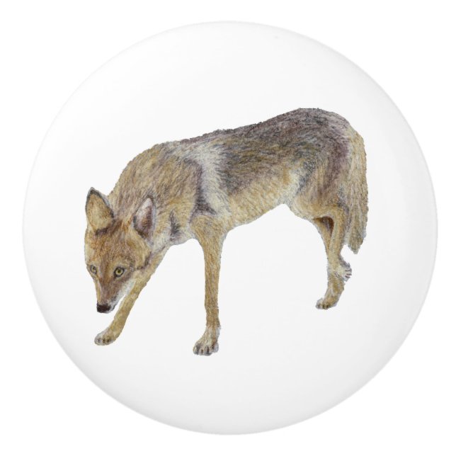 Coyote Ceramic Knob (Front)