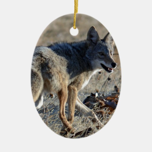 Coyote Ceramic Ornament (Front)