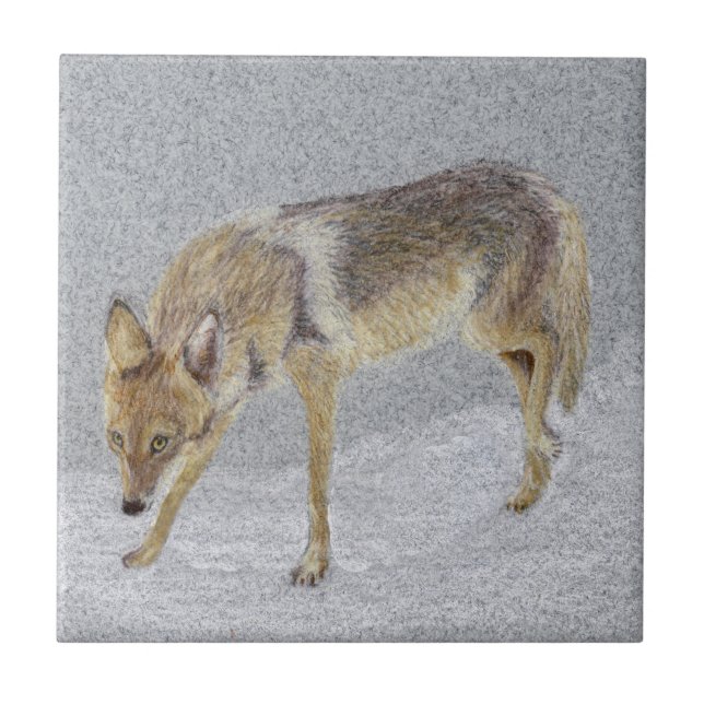 Coyote Ceramic Tile (Front)