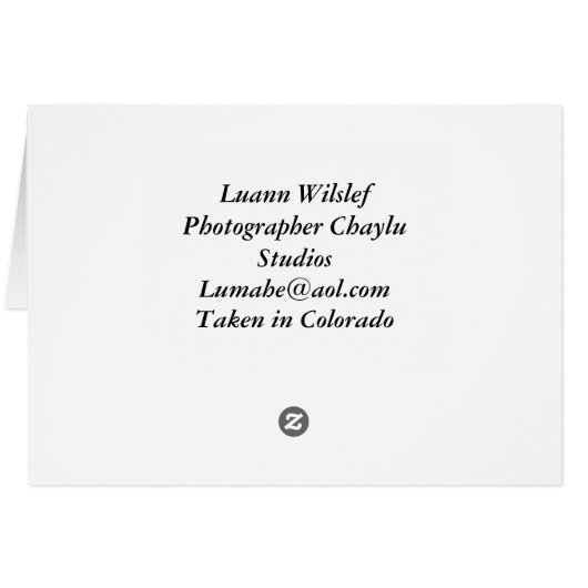 Coyote Clan (Back Horizontal)