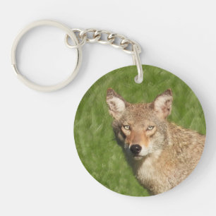 Coyote close up keychain
