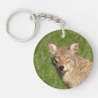 Coyote close up keychain