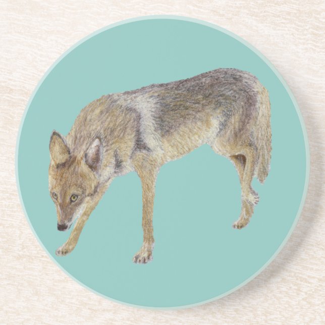 Coyote Coaster (Front)