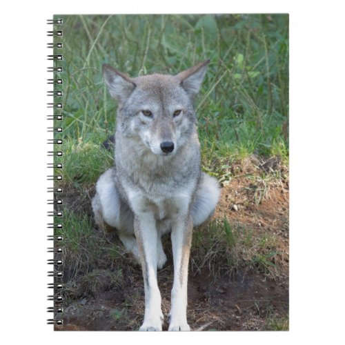 Coyote Collection Notebook