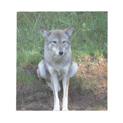 Coyote Collection Notepad