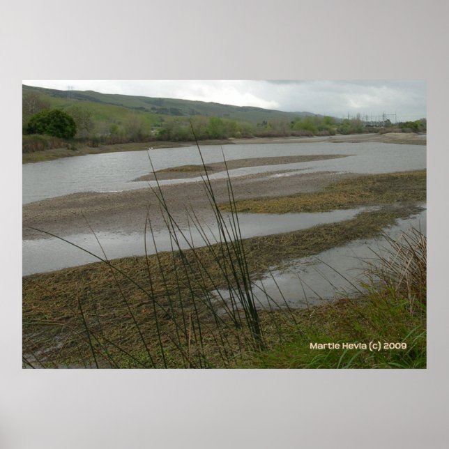 Coyote Creek Rainy Day Poster (Front)