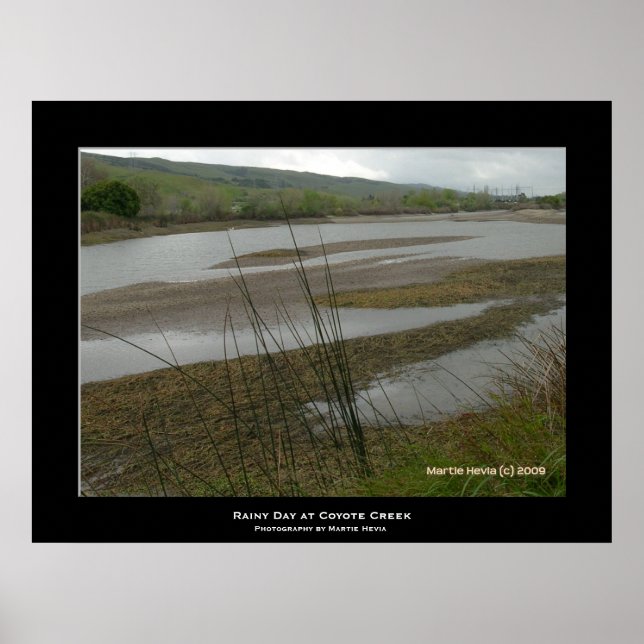 "Coyote Creek Rainy Day" Poster (Front)