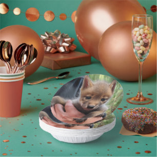 Coyote Cub Paper Bowls