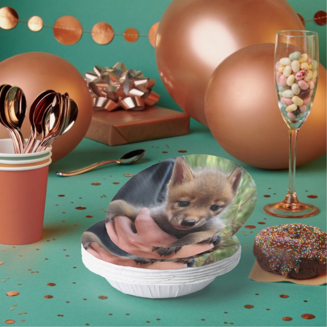 Coyote Cub Paper Bowls (Multi)