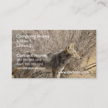 Coyote Design Business Card by WildlifeAnimals at Zazzle