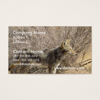 Coyote Business Cards & Templates | Zazzle