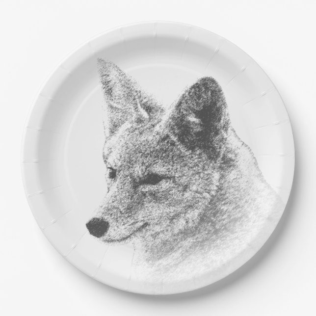 Coyote Drawing Paper Plates (Front)