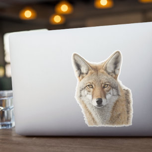 Coyote Head Animal Portrait  Sticker