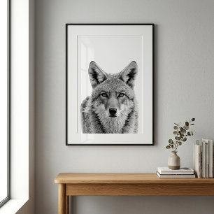 Coyote Head Portrait art Black white  Poster