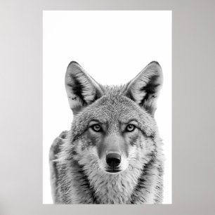 Coyote Head Portrait art Black white Poster