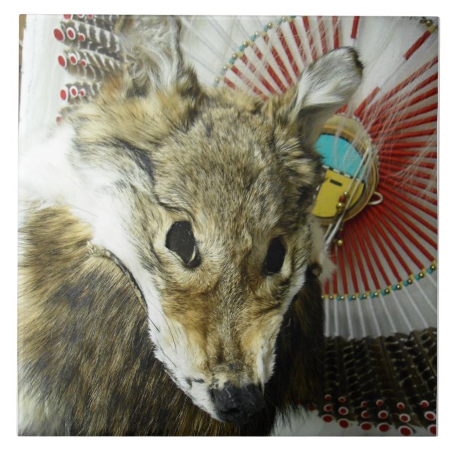Coyote Headdress Tile (Front)