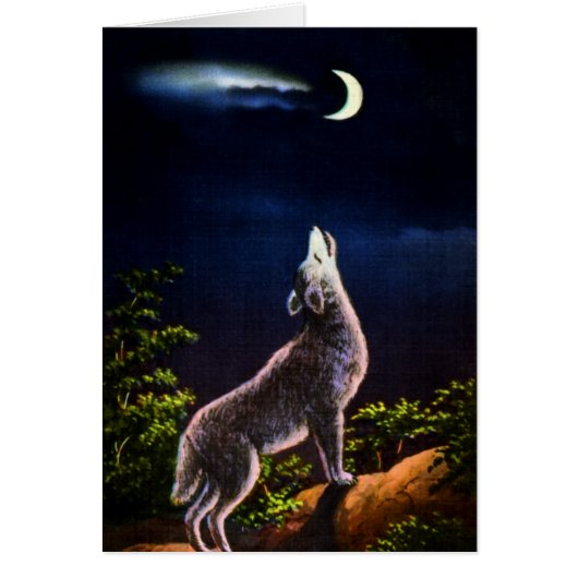 Coyote Howling at the Moon Cards (Front)
