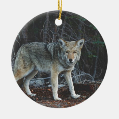 Coyote Hunting Ceramic Ornament