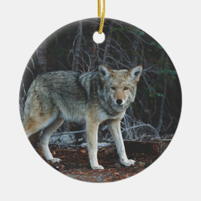 Coyote Hunting Ceramic Ornament (Front)