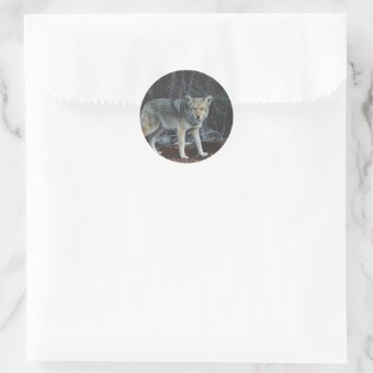 Coyote Hunting Classic Round Sticker | Zazzle