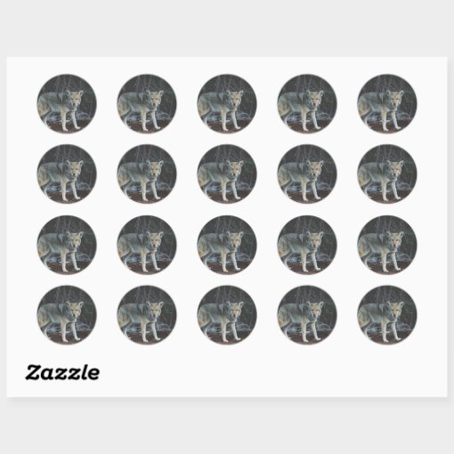 Coyote Hunting Classic Round Sticker | Zazzle