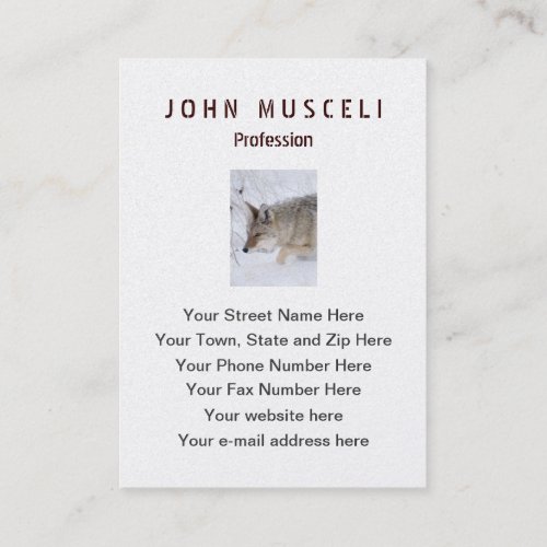 Coyote hunting in snow in Grand Tetons NP Business Card