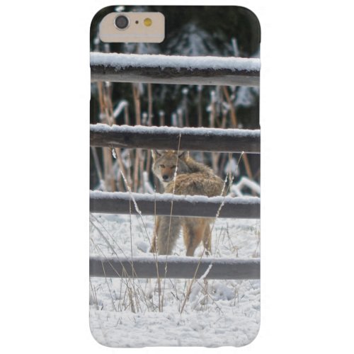 Coyote Hunting in Snow on Ranch _ Wildlife Photo Barely There iPhone 6 Plus Case