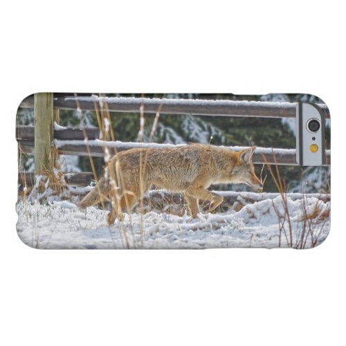 Coyote Hunting in Snow on Ranch _ Wildlife Photo Barely There iPhone 6 Case