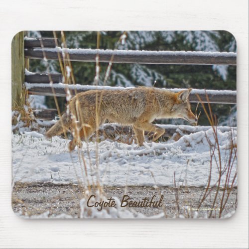 Coyote Hunting in Winter Snow Wildlife Mousepad