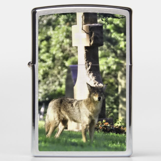 Coyote in Cemetery Zippo Lighter (Front)