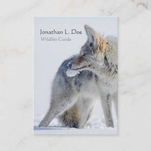 Coyote in Snow Wildlife Guide Ecologist Business Card