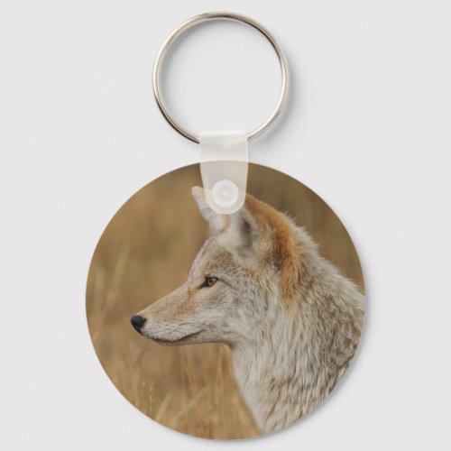 coyote keychain