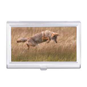 Coyote Leaping - Gibbon Meadows Business Card Case